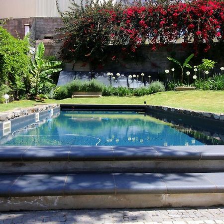 Quinta Araucaria Funchal Daire Funchal  Dış mekan fotoğraf