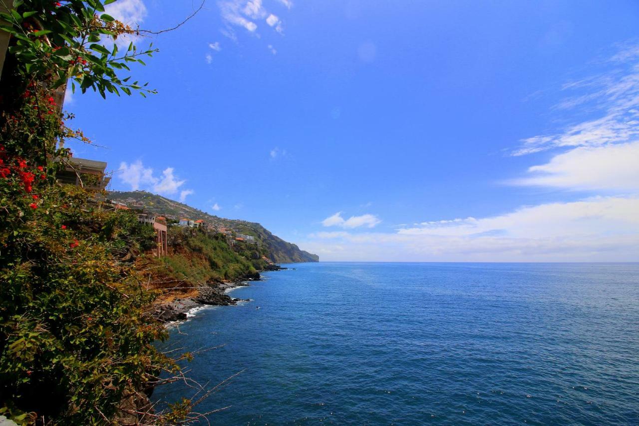 Quinta Araucaria Funchal Daire Funchal  Dış mekan fotoğraf