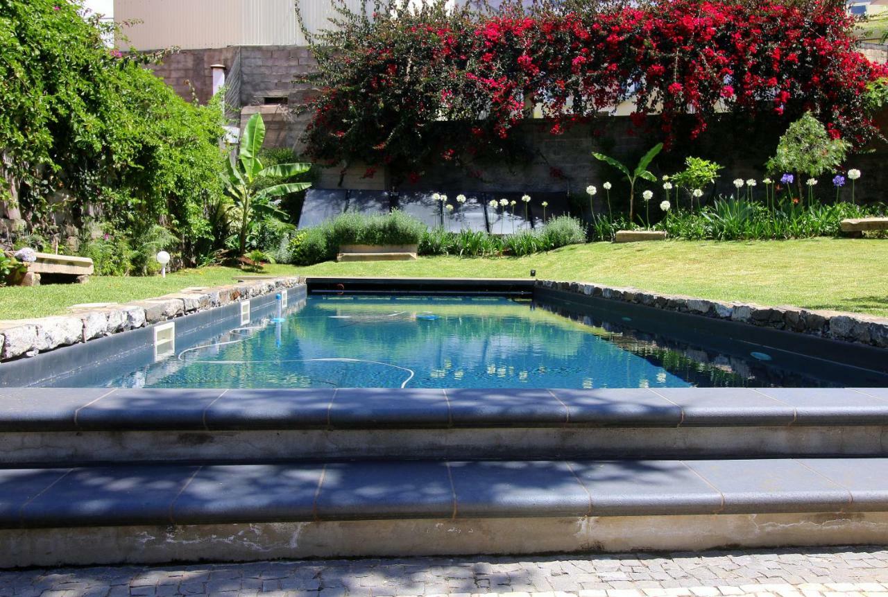 Quinta Araucaria Funchal Daire Funchal  Dış mekan fotoğraf