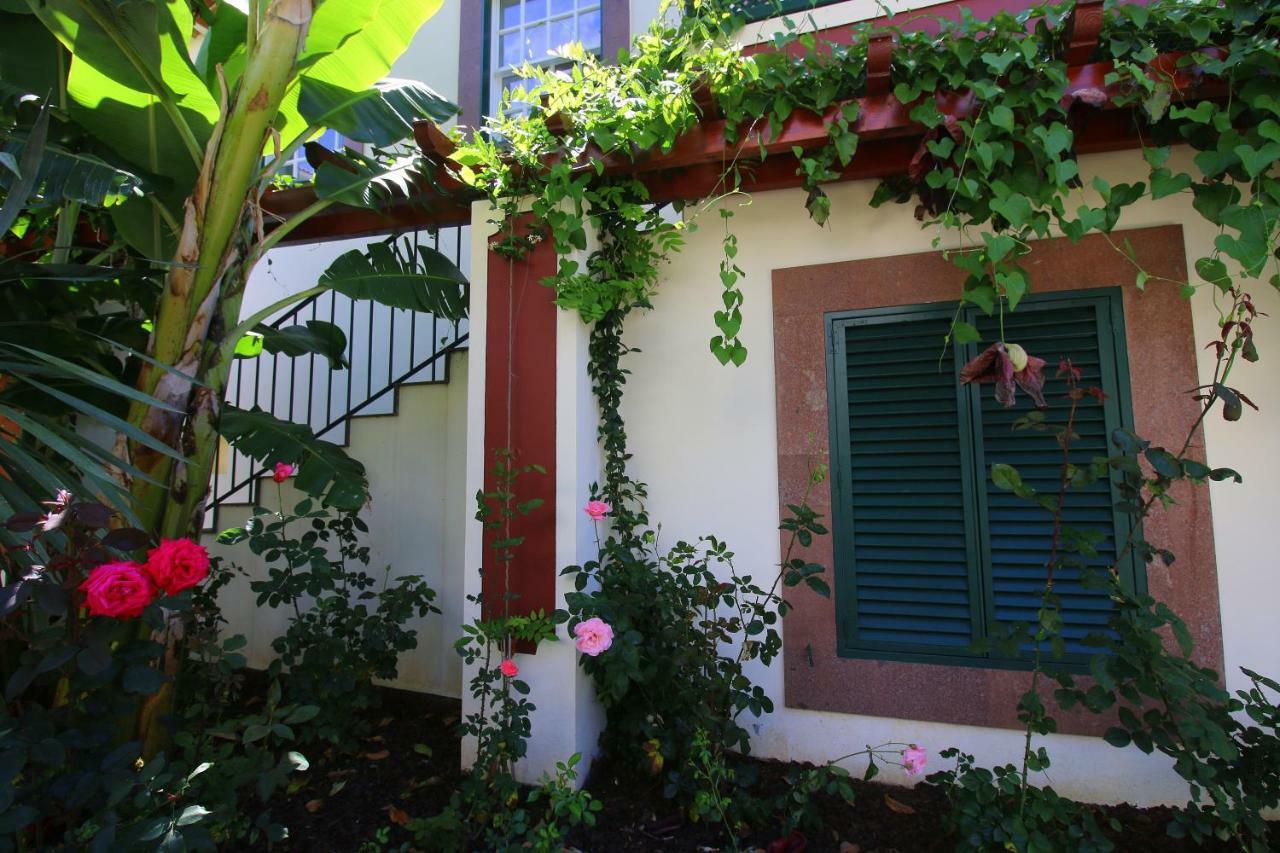 Quinta Araucaria Funchal Daire Funchal  Dış mekan fotoğraf